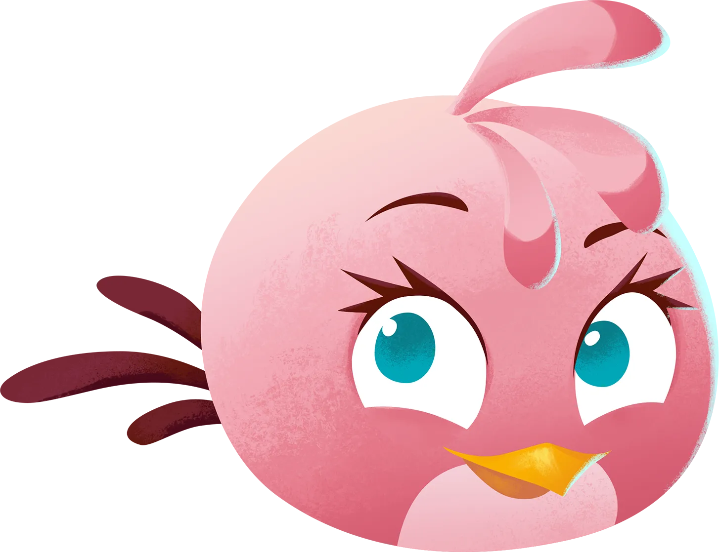 Stella, the pink bird with a curled crest